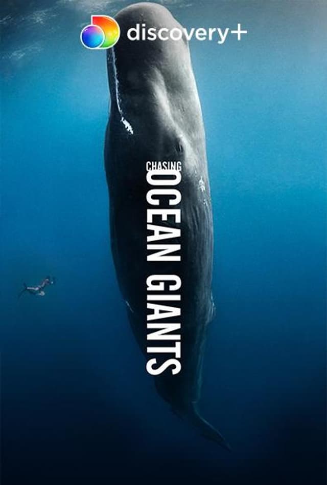مطاردة عمالقة المحيط