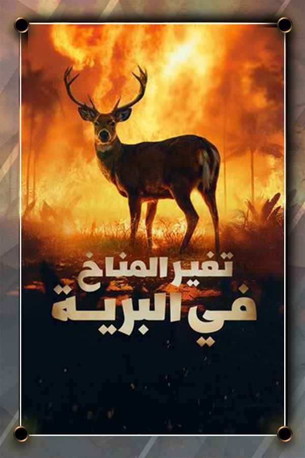 تغير المناخ في البرية