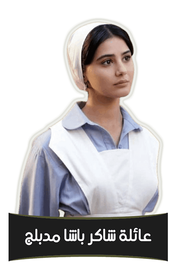 عائلة شاكر باشا (مدبلج)