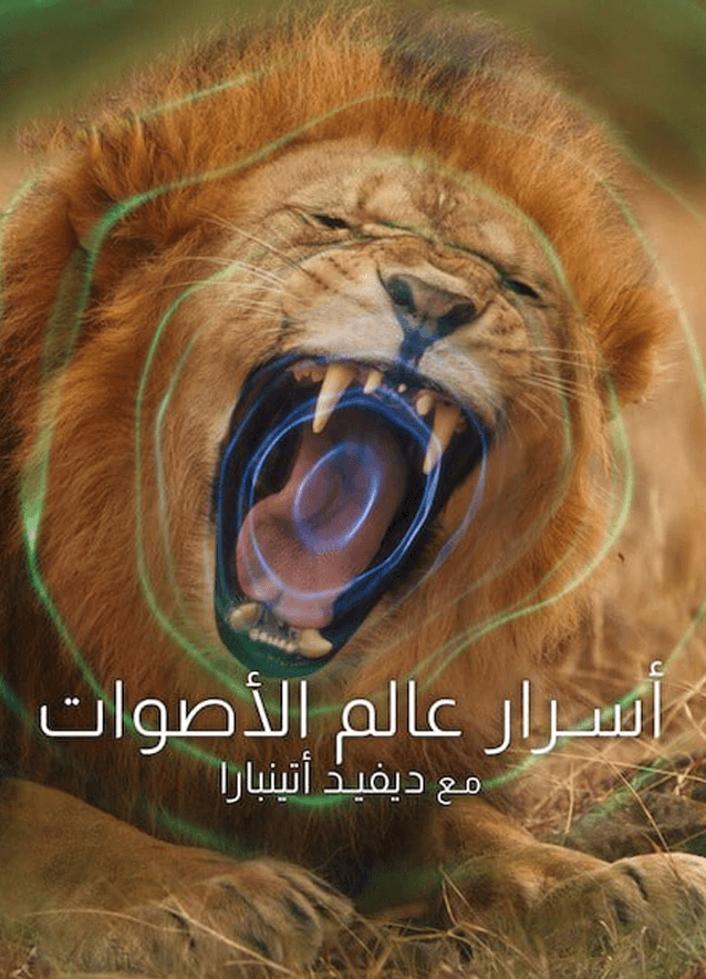 Secret World of Sound with David Attenborough