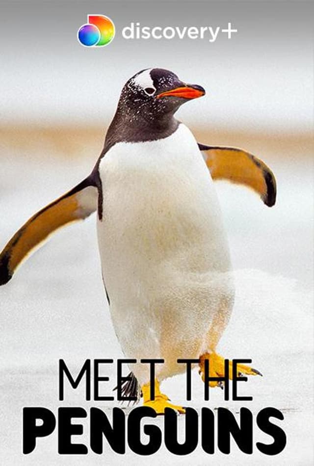 قابل البطاريق