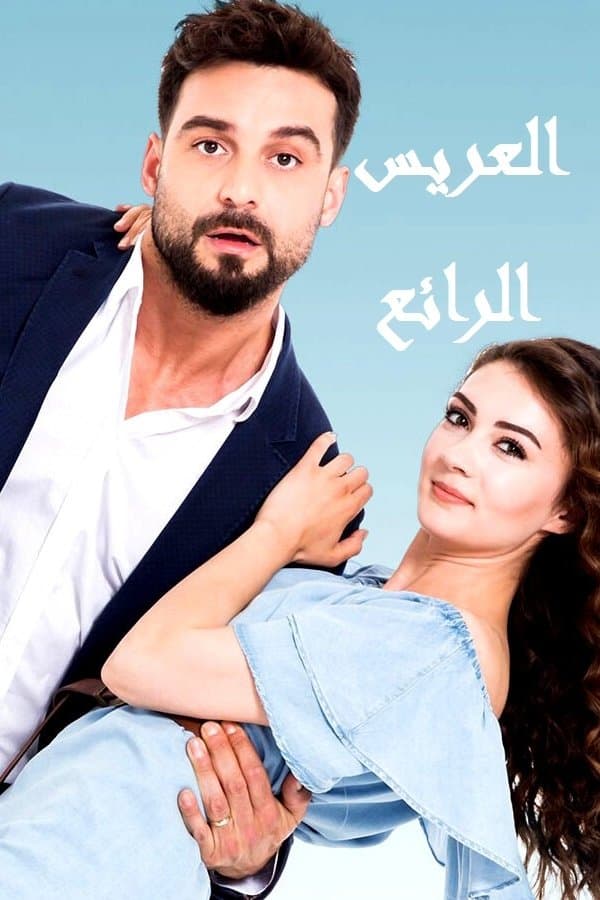 العريس الرائع (مدبلج)