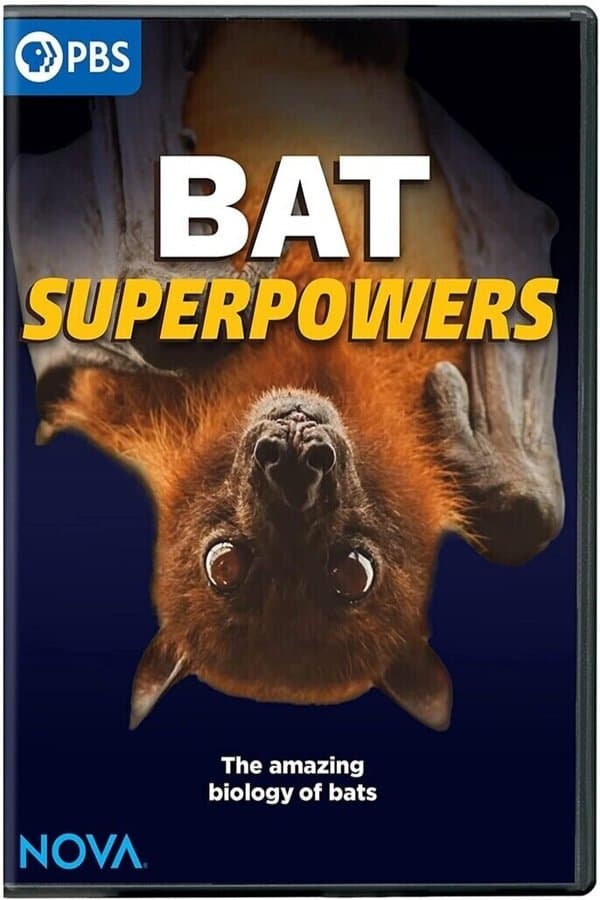 Bat Superpowers