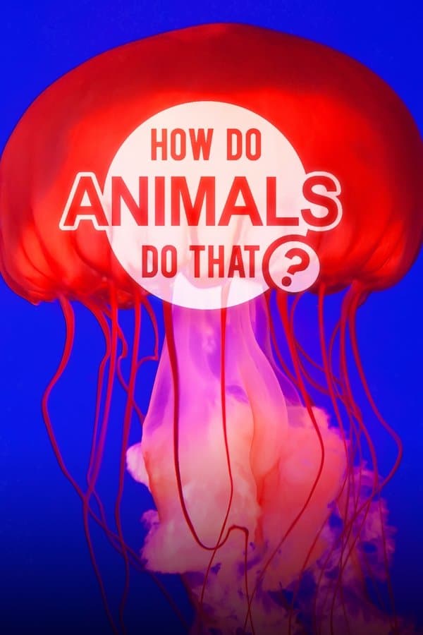 How Do Animals Do That