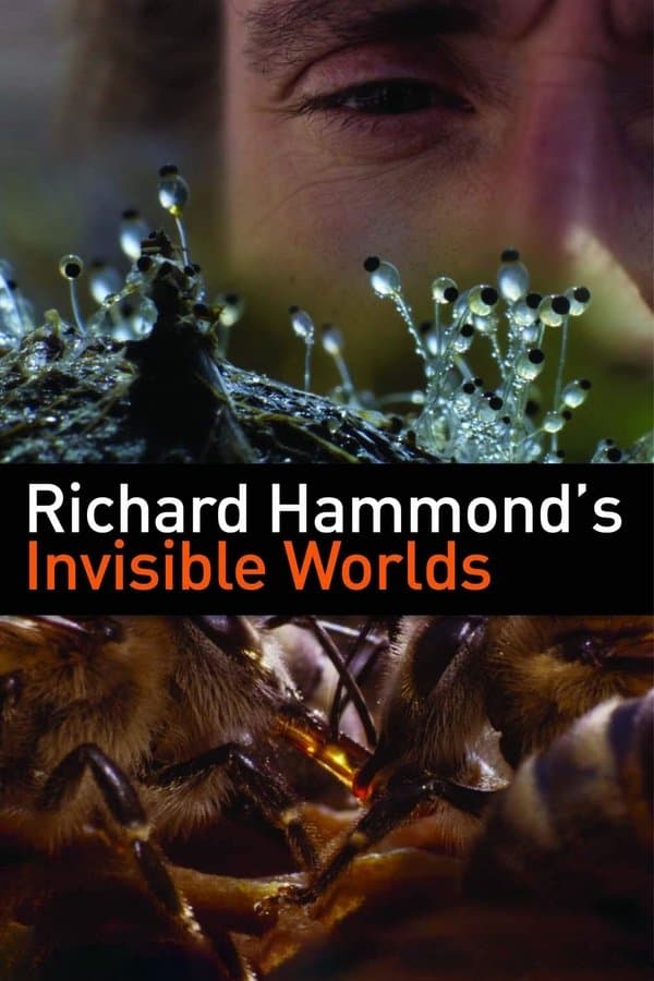 The Hidden Worlds of Richard Hammond