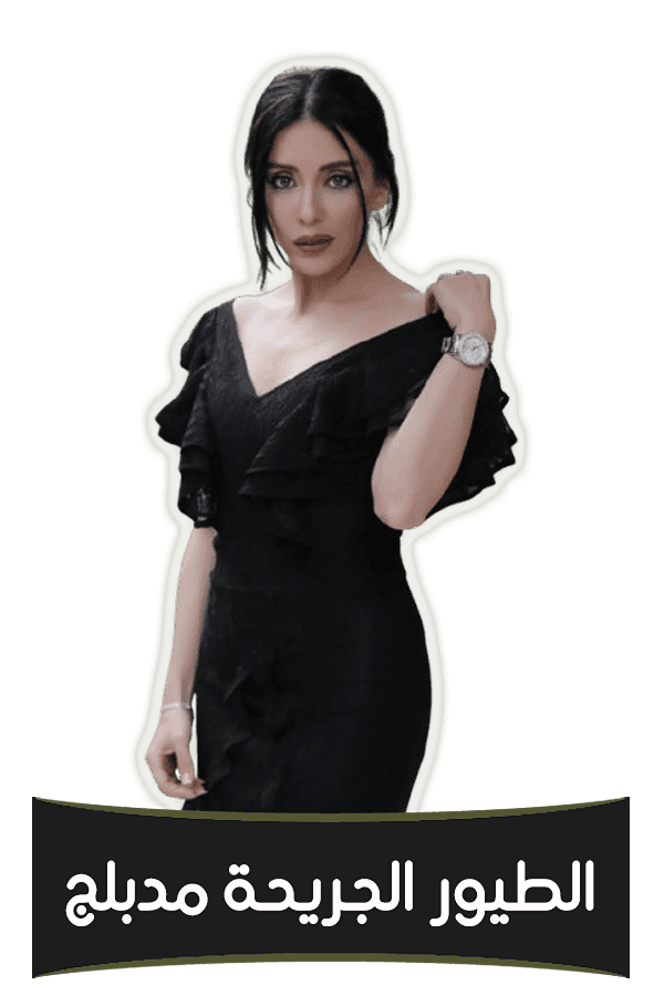 الطيور الجريحة (مدبلج)