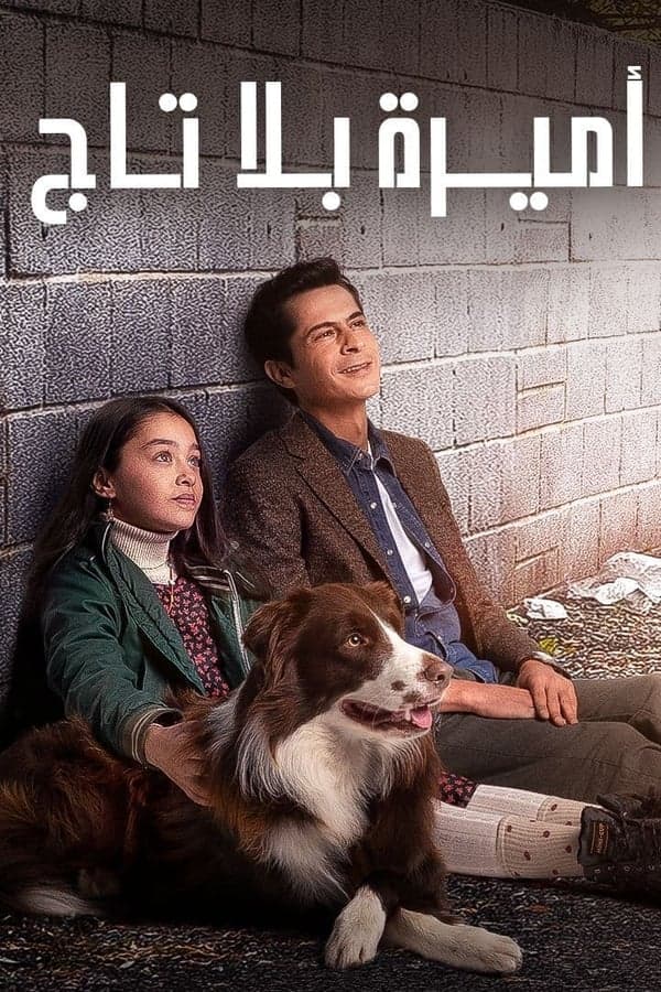 أميرة بلا تاج (مدبلج)